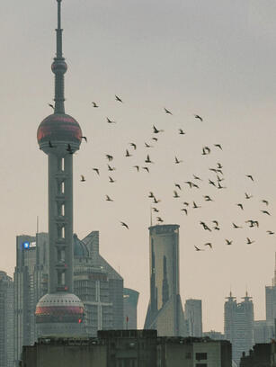 Shanghai